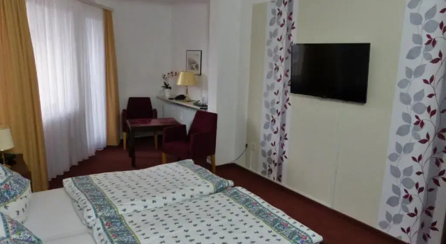 Двухместный номер Standard Hotel Am Kurpark