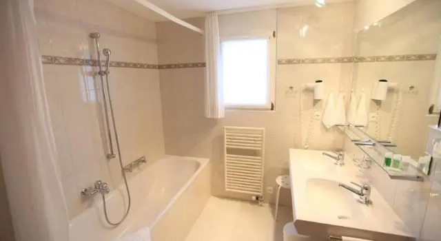 Suite Standard Typically Swiss Hotel Altana