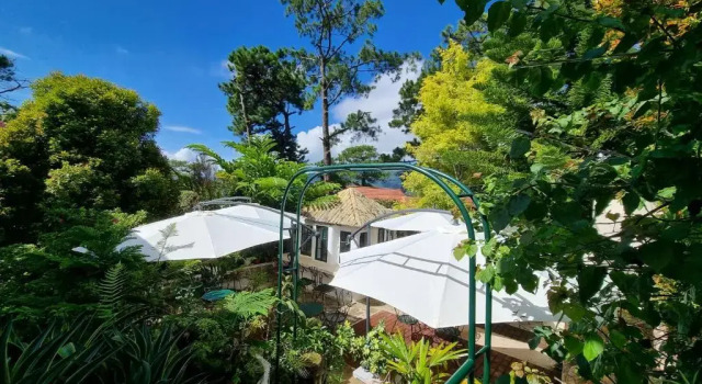 Люкс Guesthaven Baguio Bed & Breakfast