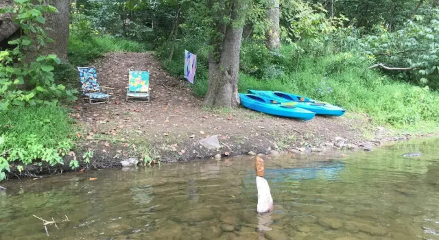 Коттедж Chesnutt Cabin on the Cacapon River
