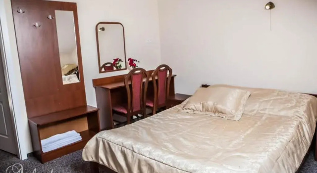 Одноместный номер Standard Hotel Arkada