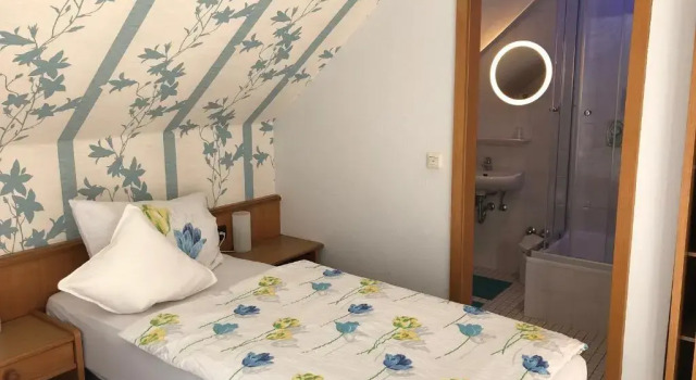 Двухместный номер Standard Hotel Elfenberg
