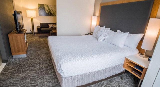 Springhill Suites by Marriott Winston-Salem Hanes Mall