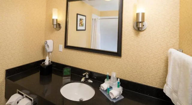 Номер Standard Holiday Inn Express & Suites Detroit North - Troy by IHG