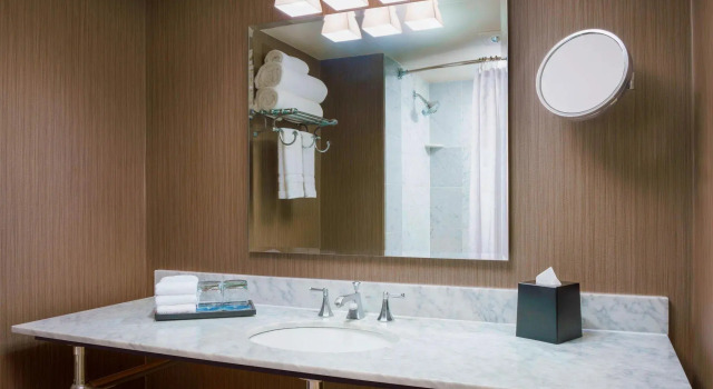 Двухместный клубный номер Standard Sheraton Baltimore North