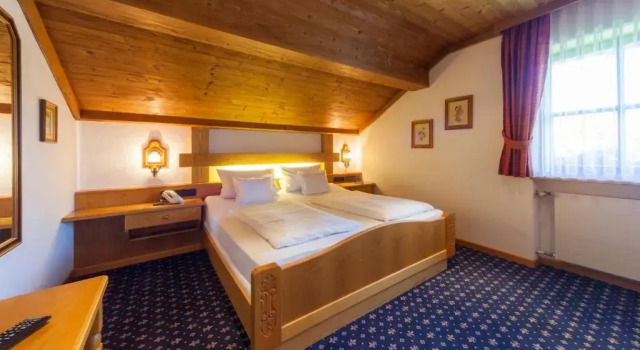 Двухместный номер Standard Hotel Alpina