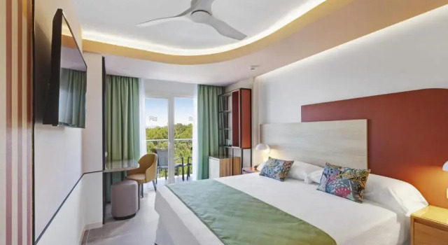 Двухместный номер Hotel Riu Concordia