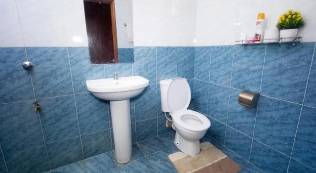 Номер Standard Lux Furnished Apartment
