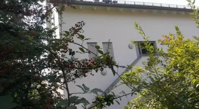 Petite Bellevue II