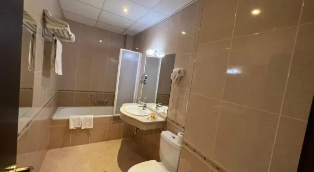Одноместный номер Standard Merian Palace Hotel