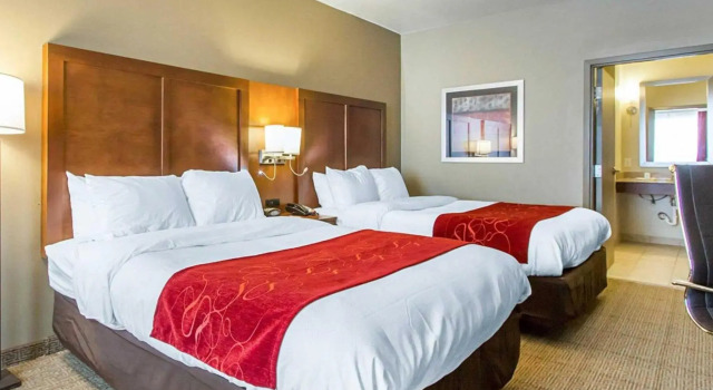 Люкс Comfort Suites University