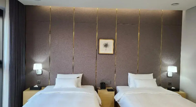 Двухместный номер Luxury CS Hotel