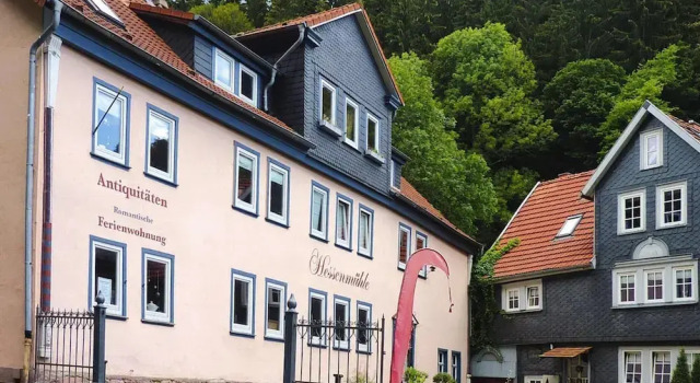 Ferienwohnung, Friedrichroda, Book Apartment Apartments in Rennsteig, Apartment