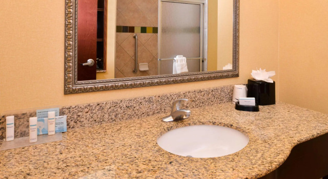 Двухместный номер Standard Hampton Inn & Suites Greenville