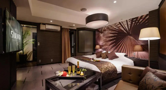 Номер Standard HOTEL SULATA GIFU HASHIMA