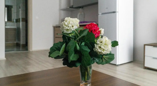 Люкс Deluxe Hayat Palas