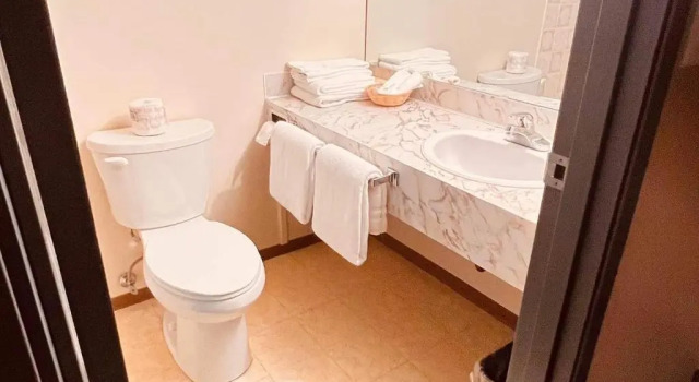 Двухместный номер Deluxe Airport Inn
