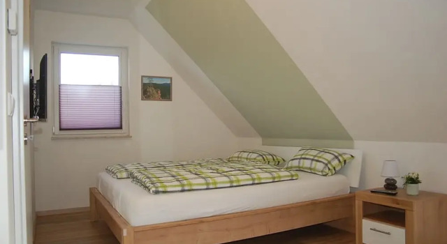 Zaunkönig 1.