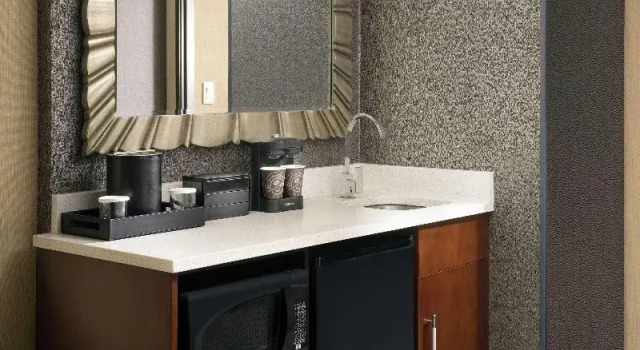 Люкс c 1 комнатой Embassy Suites by Hilton Atlanta Airport