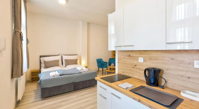 Студия Comfort с видом на город Prague Urban Apartments 48