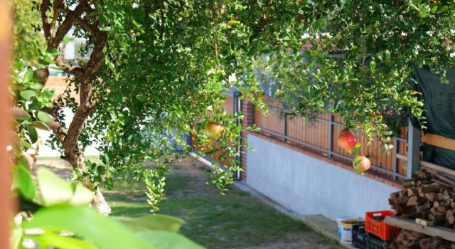 Stela Apartments