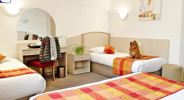 Четырёхместный номер Standard Hôtel Le Kolibri