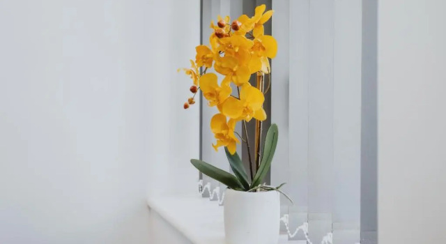 Апартаменты 1 Bed Stylish City Flat 2nd Floor close to City Centre with free parking, king size bed & Wi-Fi