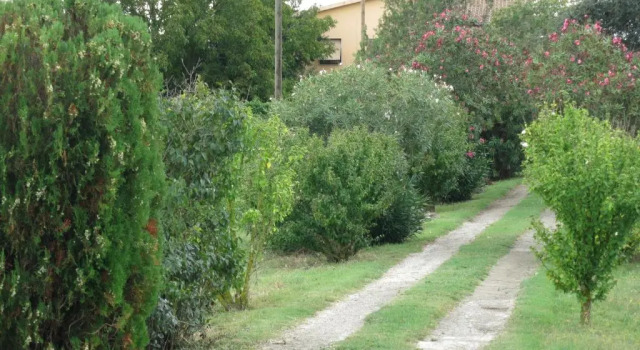 Апартаменты AL MANDORLO Casa Vacanze