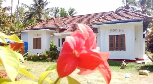 Saja Homestay