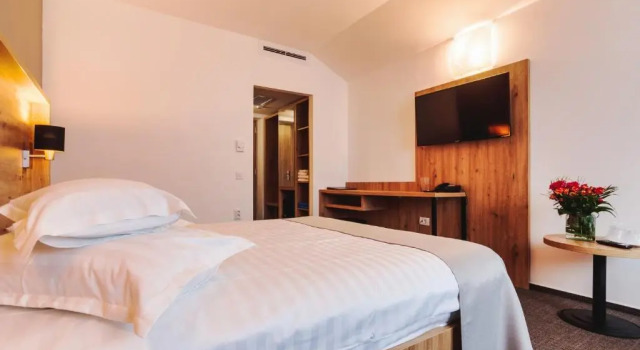 Номер Standard Hotel Domnitei