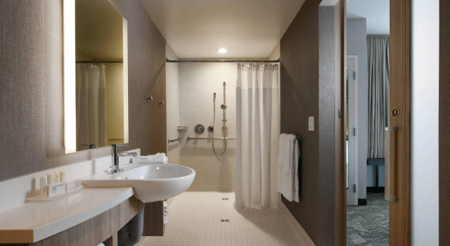 Двухместный люкс SpringHill Suites Dallas DFW Airport South/CentrePort