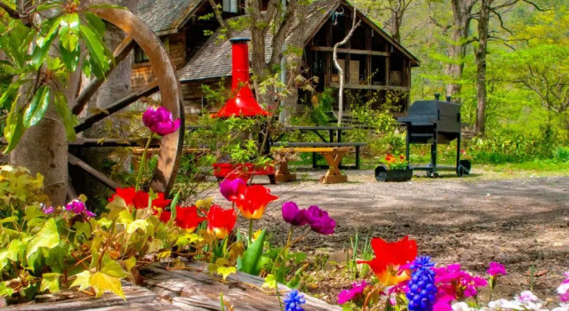 Номер Standard Panketo Lodge & Yoga Studio