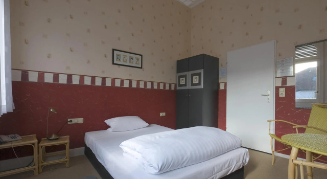 Одноместный номер Standard Hotel am Berg