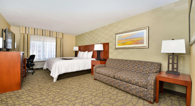Двухместная студия Hampton Inn Detroit/Auburn Hills South