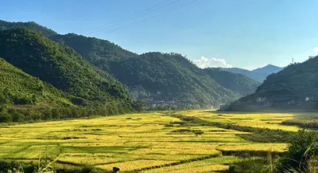 Yuejingyun Lake View Hostel, Buchen Sie Hostel Hostels in Qiubei, Hostel