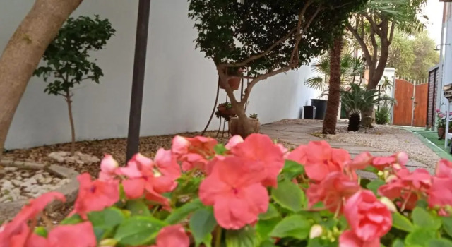 Апартаменты с 2 комнатами Guest House Oleandro