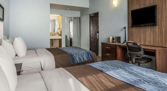 Четырёхместный номер Standard с балконом Comfort Inn & Suites