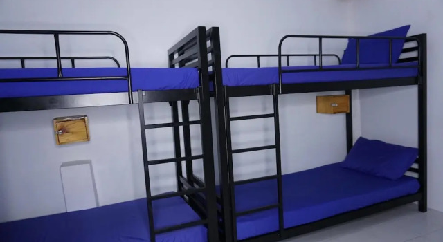 Кровать в общем номере Culture Club Backpackers - Hostel