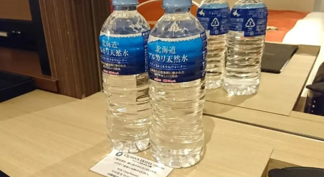 Номер Standard Queens Hotel Chitose