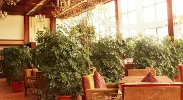 Meilin International Hotel, Rezervovat Hotel Nyingchi Tibet