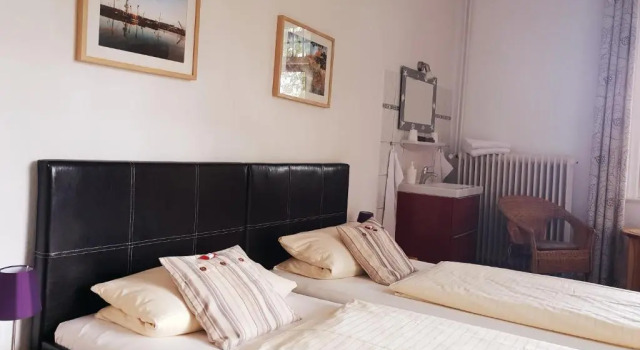 Двухместный номер Standard Hotel Schweizerhaus