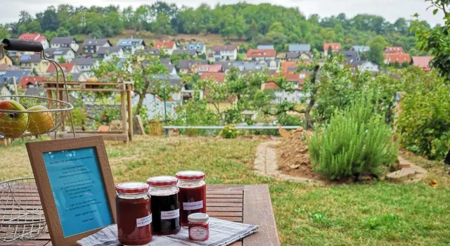 Апартаменты Ferienwohnung Im Paradies