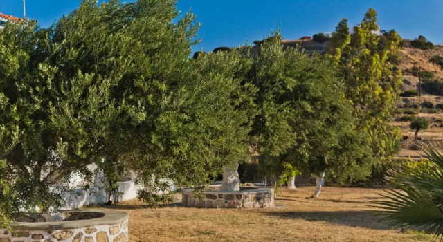 Olive Studios Karpathos Studio #2
