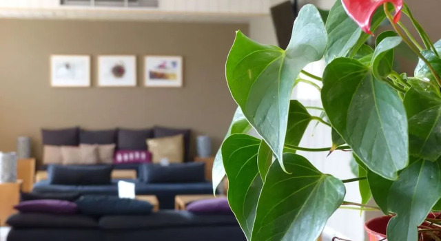 Als Hôtel, Book Hotel Hotels in Haut-Rhin with Breakfast, Breakfasts