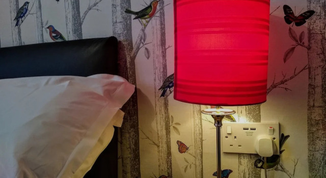 Номер Economy Bluebird Lodge