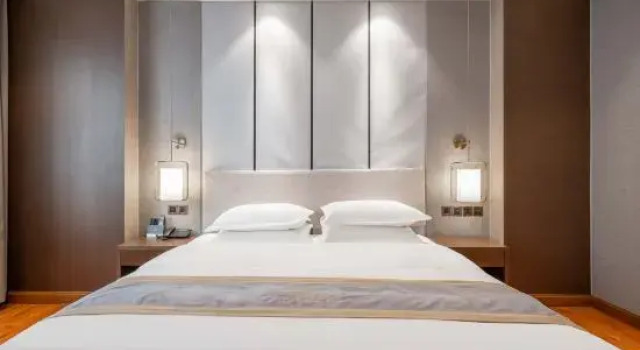Люкс Deluxe Fanyin Culture Hotel