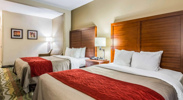 Comfort Inn & Suites Chattanooga West - Lookout Mountain, Buchen Sie Hotel Lookout Mountain Georgia