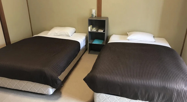 Двухместный номер Standard Biz Hotel Kiiyura