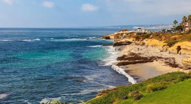 Номер Standard La Jolla Gem 3 Bedroom Condo