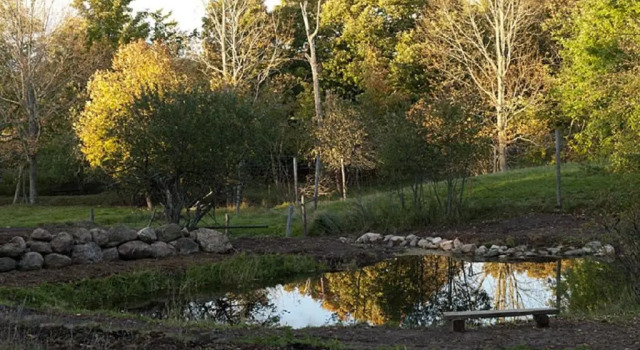 Номер Standard Green Dragon Organic Farm and B&B